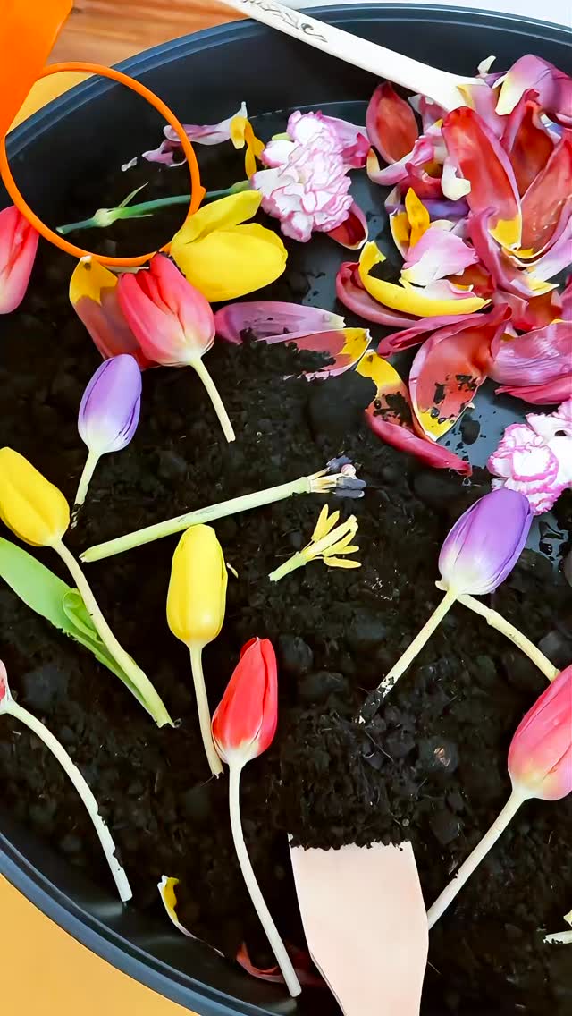 Centrul Educational Bambino